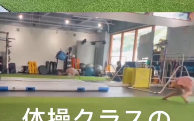 8月開講！体操クラス